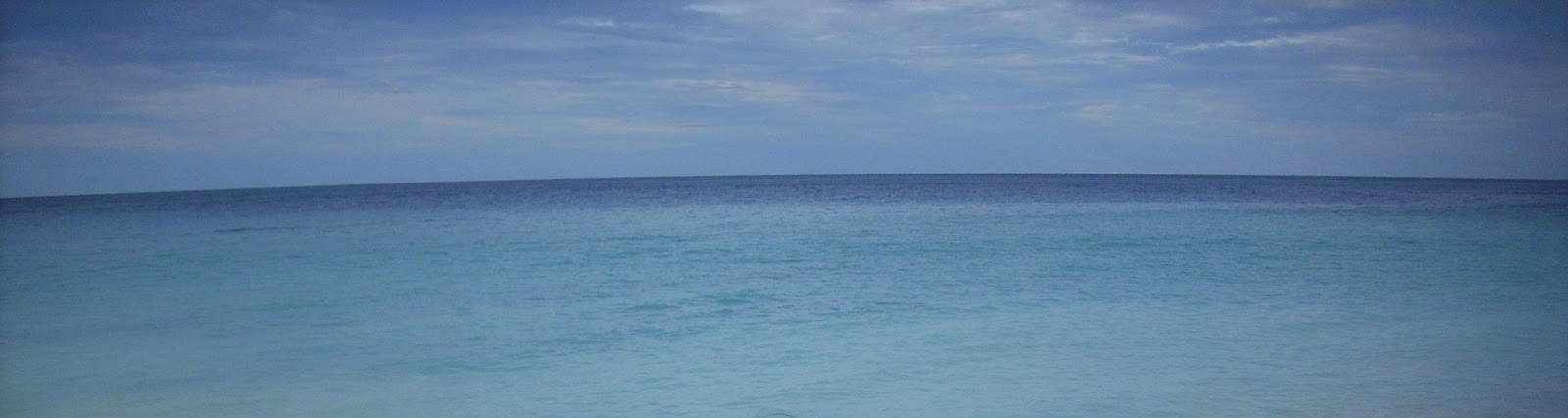 Contoh Strategi Samudra Biru Blue Ocean Strategy Blog