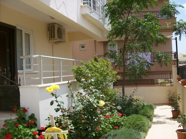 duzce kiralik daireler duzce satilik daireler duzce kiralik evler duzce satilik evler merkezde kiralik daireler