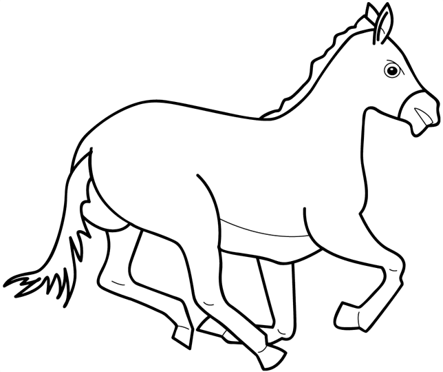 Coloring Cartoon Animals Coloring Cartoon Animals