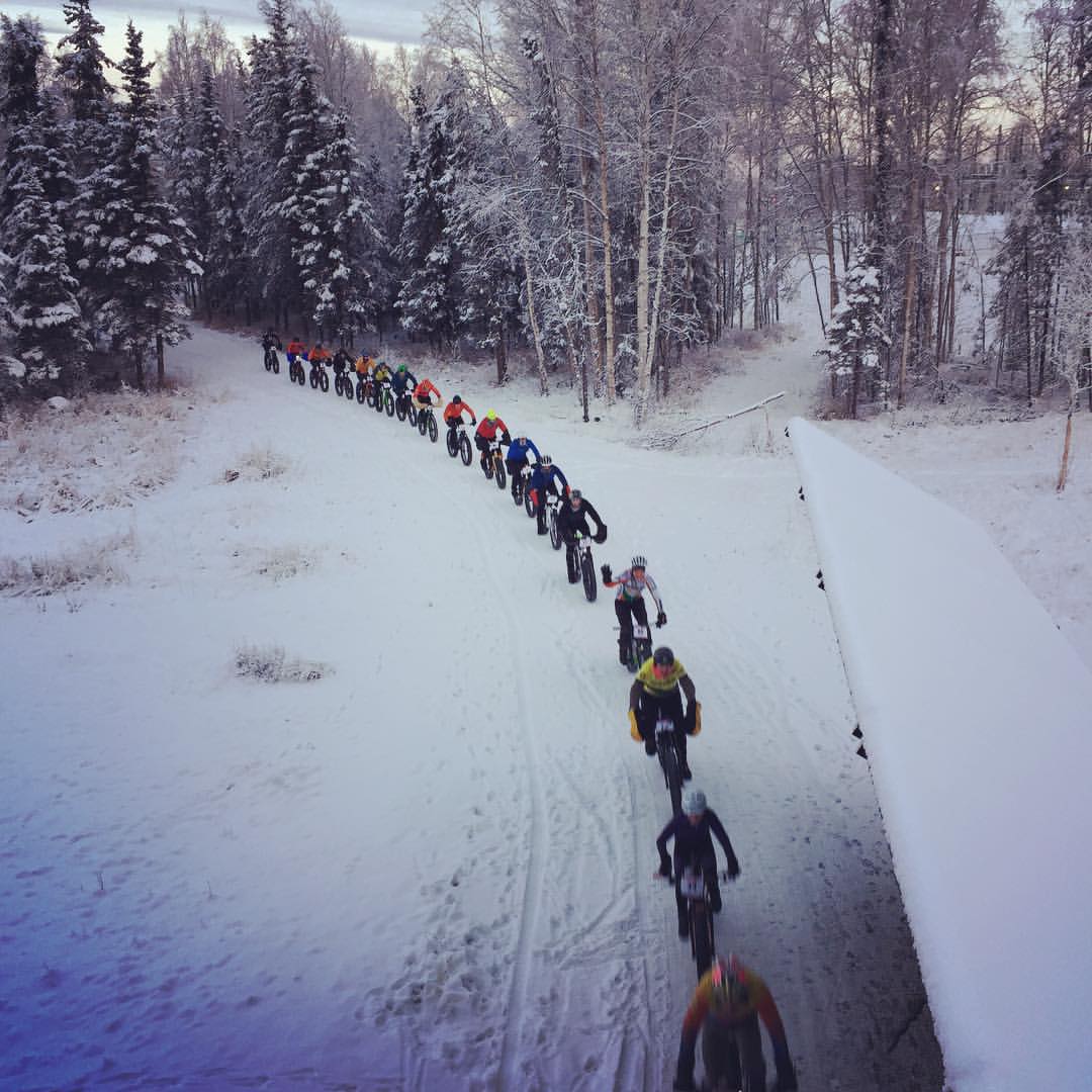 chain reaction cycles alaska