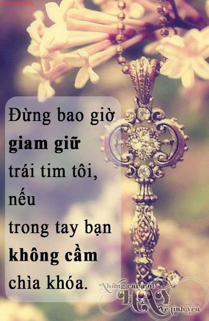 Những câu nói hay về tình yêu buồn