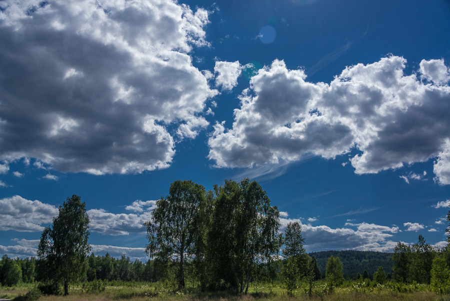 Лесами, на север (на вело, 1020 фоток)