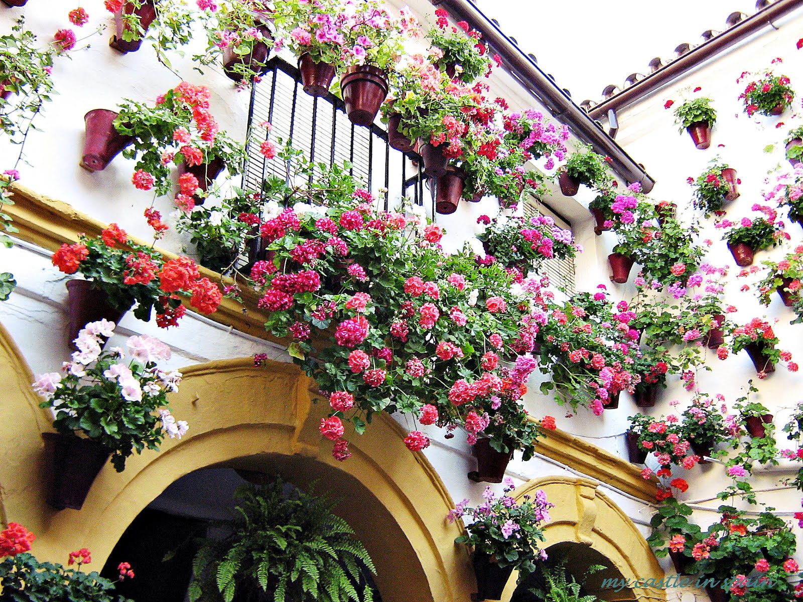 The beauty of the Andalusian patio