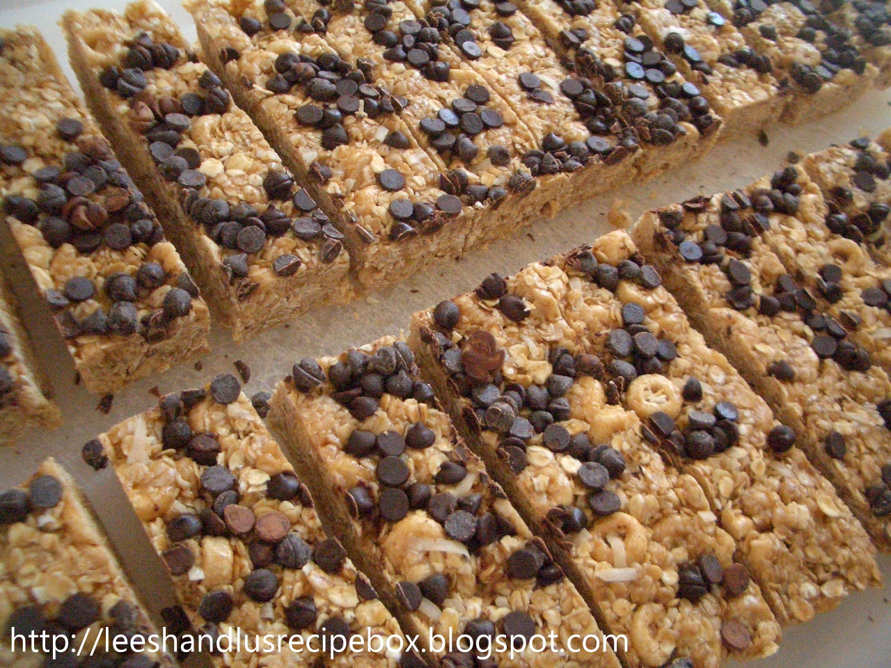 Leesh & Lu's Recipe Box Granola Bars {w/ 5 suggested variations}