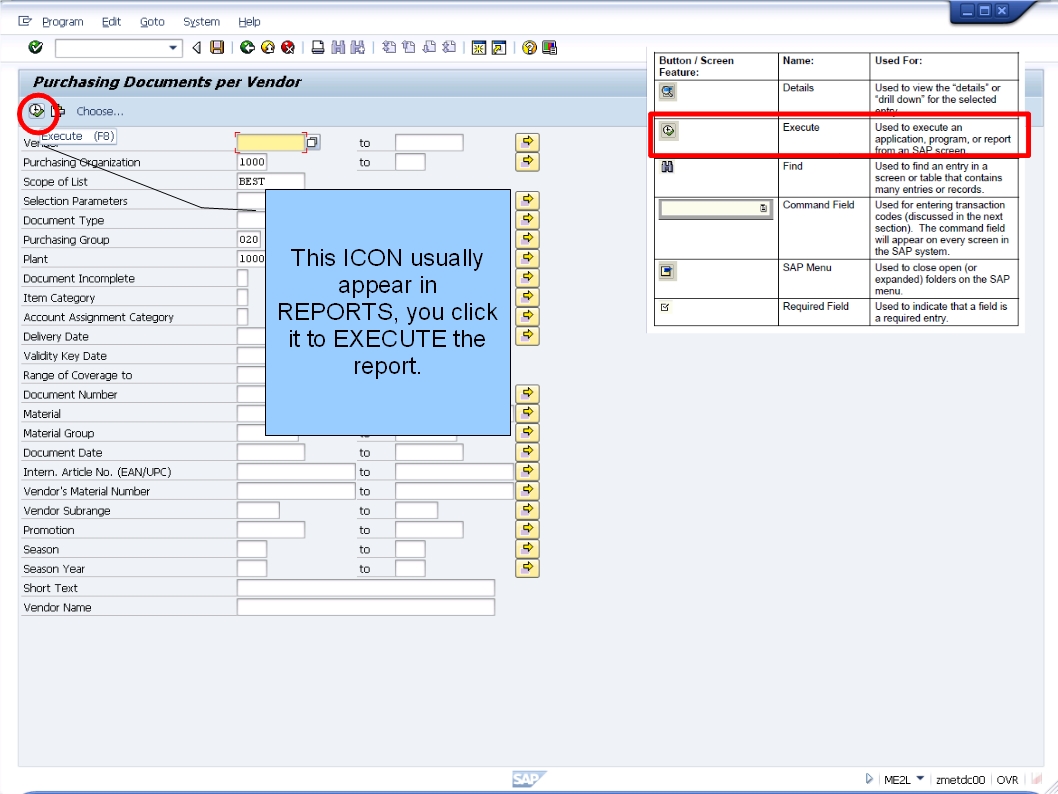青蛙SAP分享 Froggy's SAP insights N13 SAP Buttons/ICONS Explained