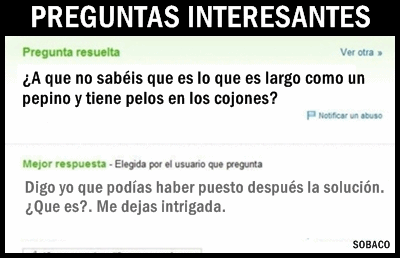 preguntas interesantes a mujeres preguntas estupidas idiotas o interesantes sobaco global preguntas interesantes a mujeres preguntas estupidas idiotas o interesantes sobaco global
