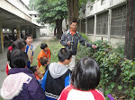 20110317帶學生觀看小紅紋鳳蝶的幼蟲