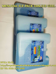 ICEPACK ICE GEL