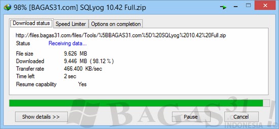 Internet Download Manager 6.18 Build 12 Full Patch