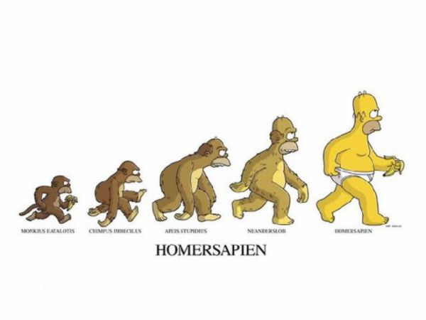 La evolución del hombre  Evolving-evolution+simpsons