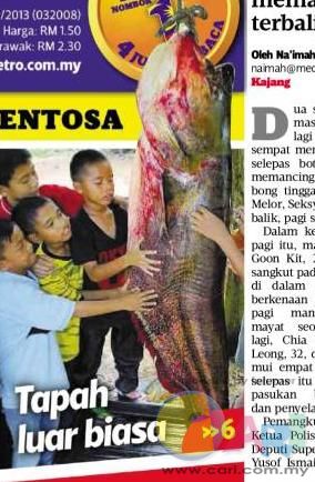 Ikan tapah gergasi