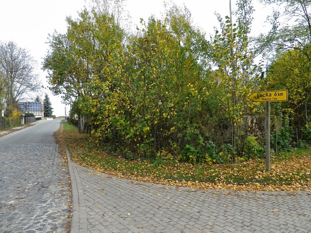 Der Wanderfreund Niedersachsen Sachsen Anhalt