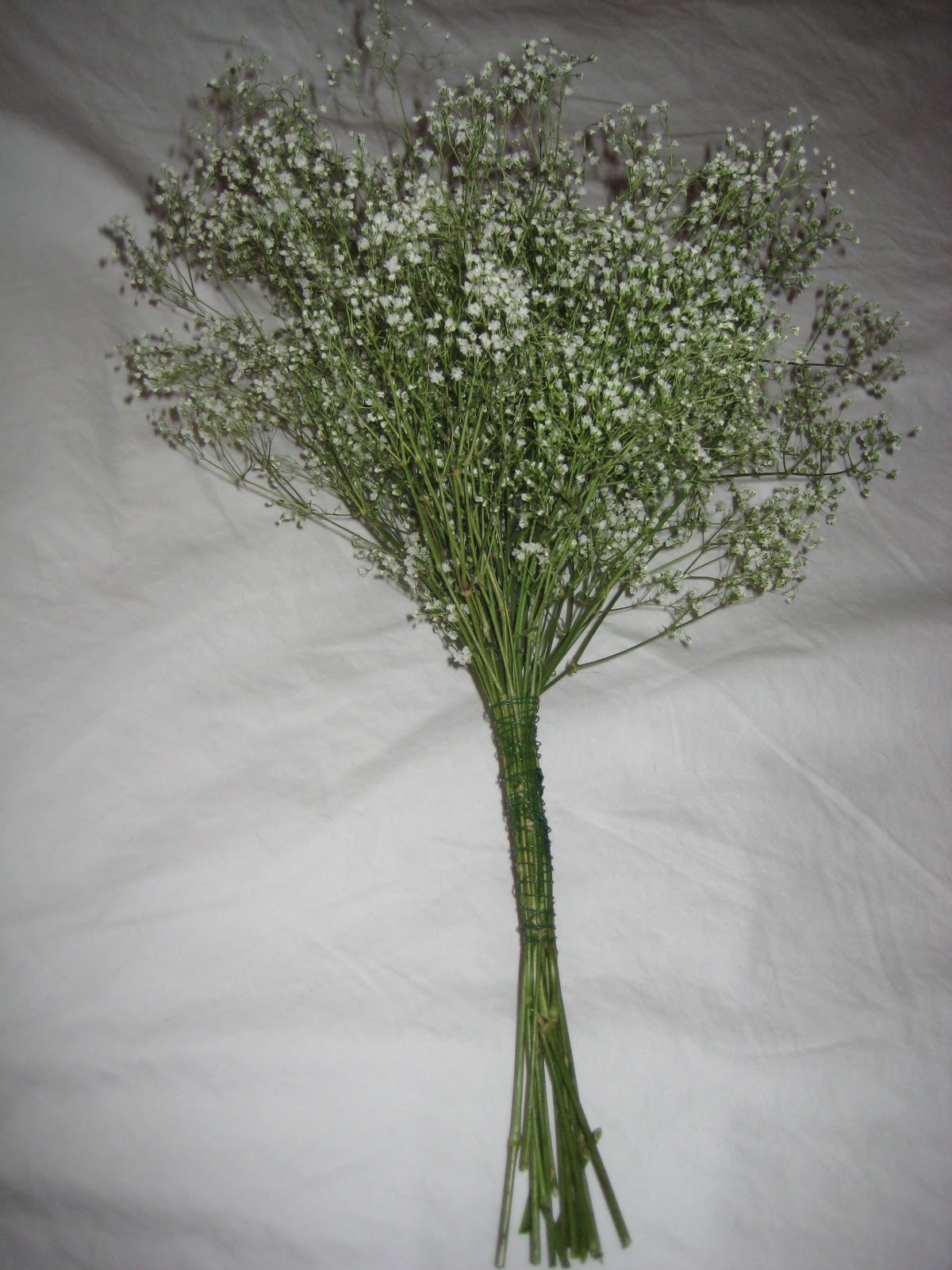 Tara Getting Married... DIY Baby's Breath Bouquet (Trial 1)