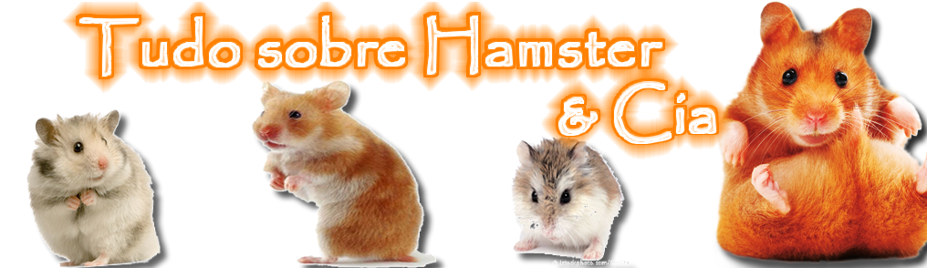 Tudo Sobre Hamster!
