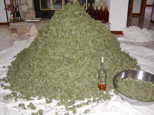 Tetra Hydro Cannabinol