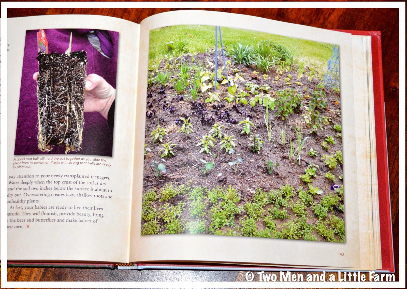 Two Men and a Little Farm TAMING WILDFLOWERS BOOK REVIEW