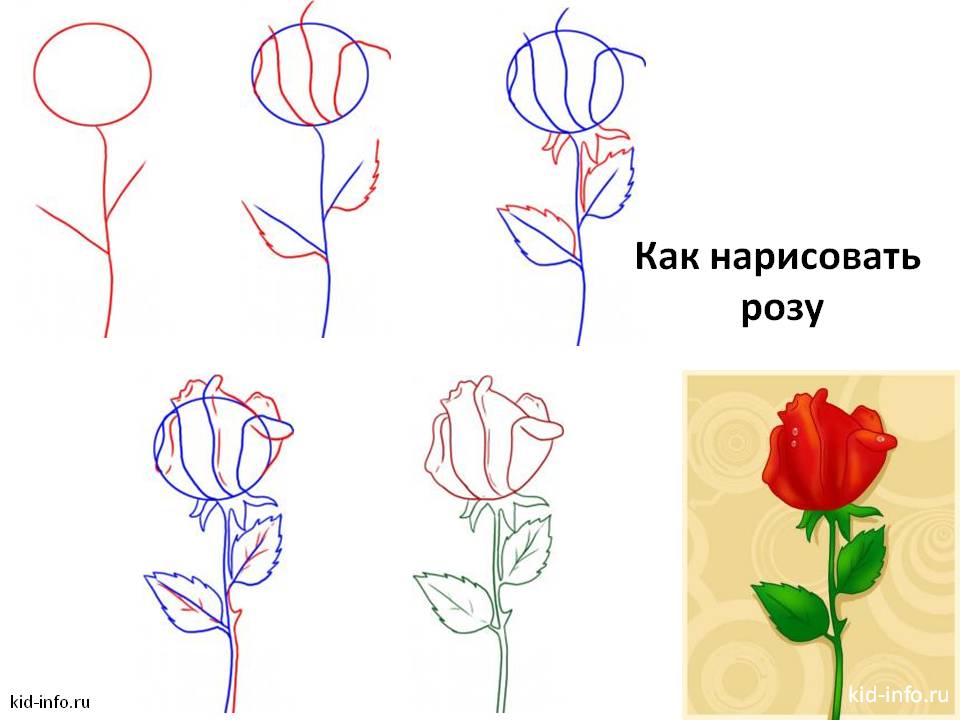Легкая поделка из бумаги бабочка Легкая поделка из бумаги бабочка