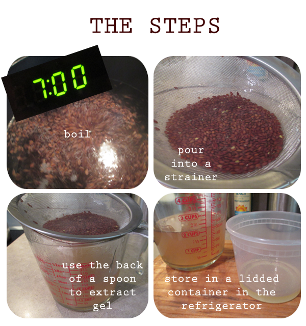 Fashion Froward DIYing It Flax Seed Gel