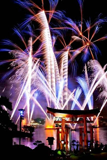 Walt Disney World Resort (Best Honeymoon Destinations In USA) 3