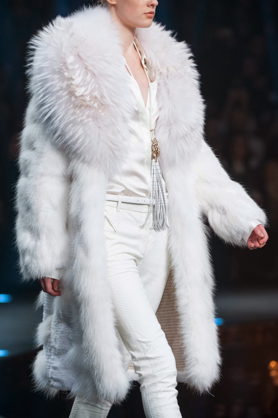 Roberto Cavalli Fashion Show Roberto Cavalli Fashion Show