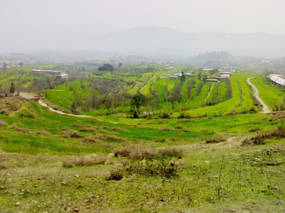 hari mera, hari maira, mansehra, hazara