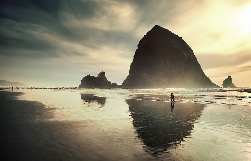 Фотограф Николя Бувье