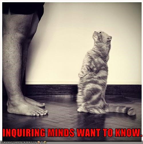lolcat-inquiring-minds-want-to-know.jpg
