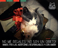 ¡Vamos por las adopciones responsables!