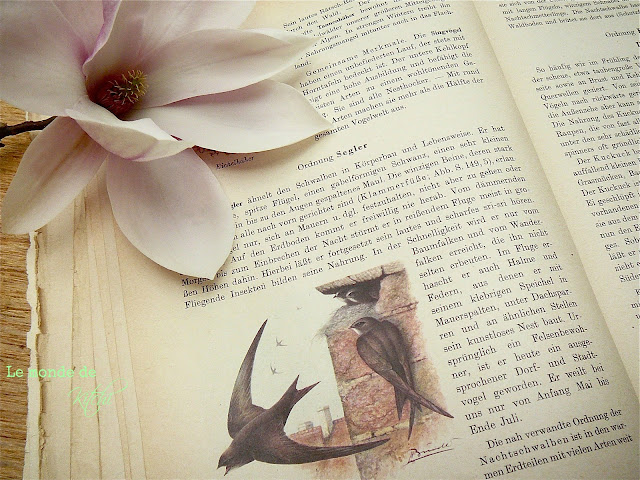 Le Monde De Kitchi Fruhlingsboten