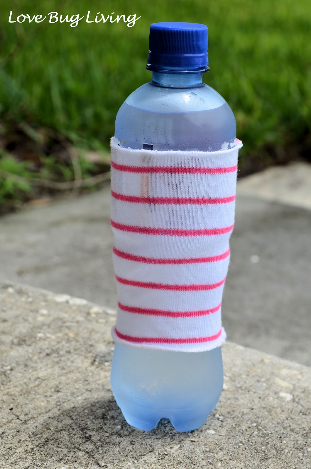 Love Bug Living Bottle Koozie Summer Kids Craft