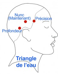 TRIÂNGULO DA ÁGUA