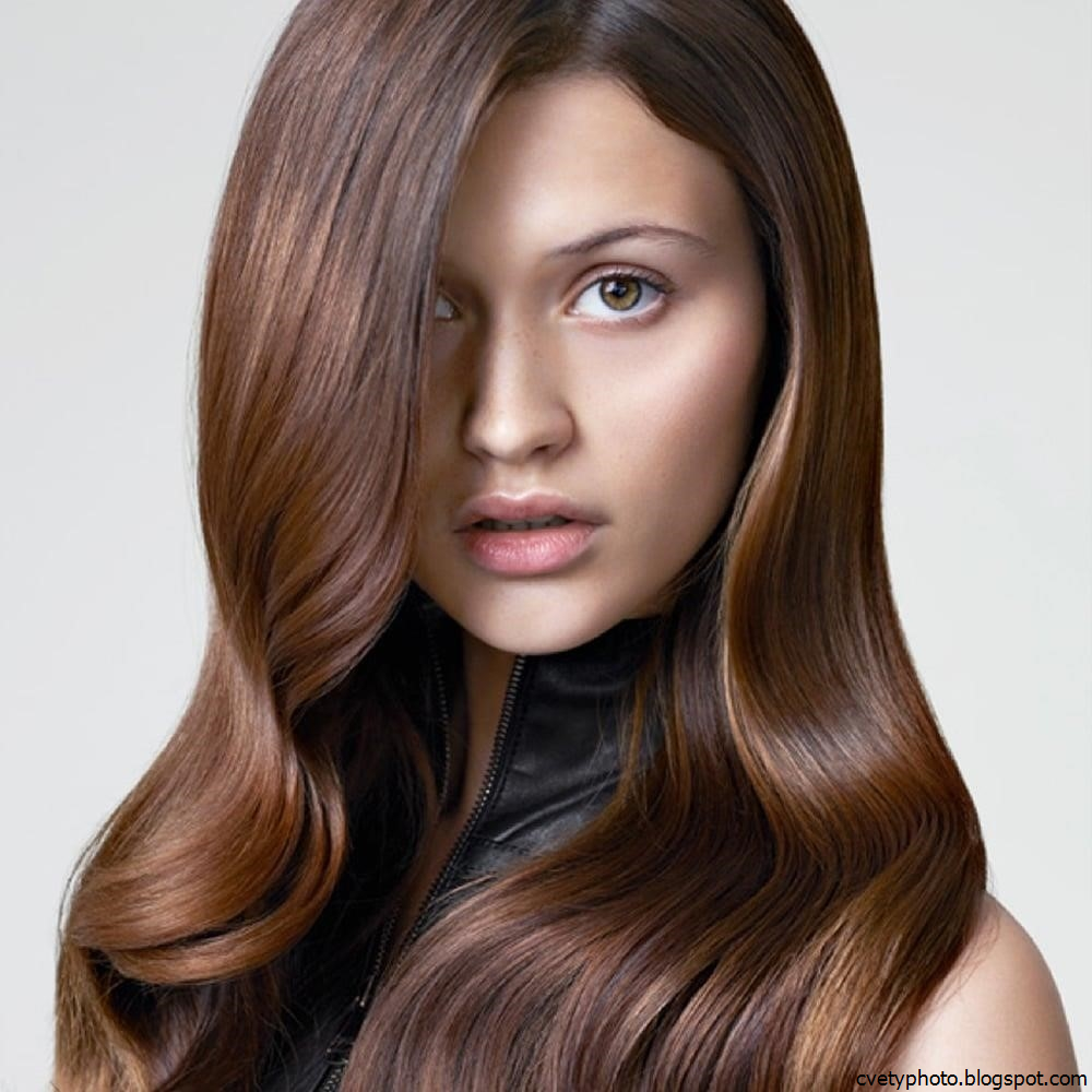 Девушки С Шоколадным Цветом Волос Фото