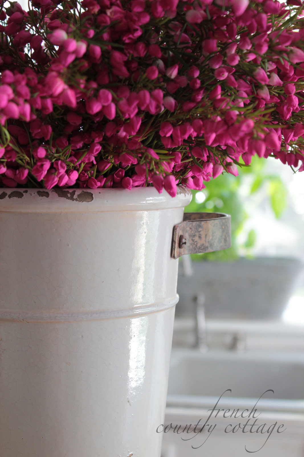 White Flower Bucket FRENCH COUNTRY COTTAGE