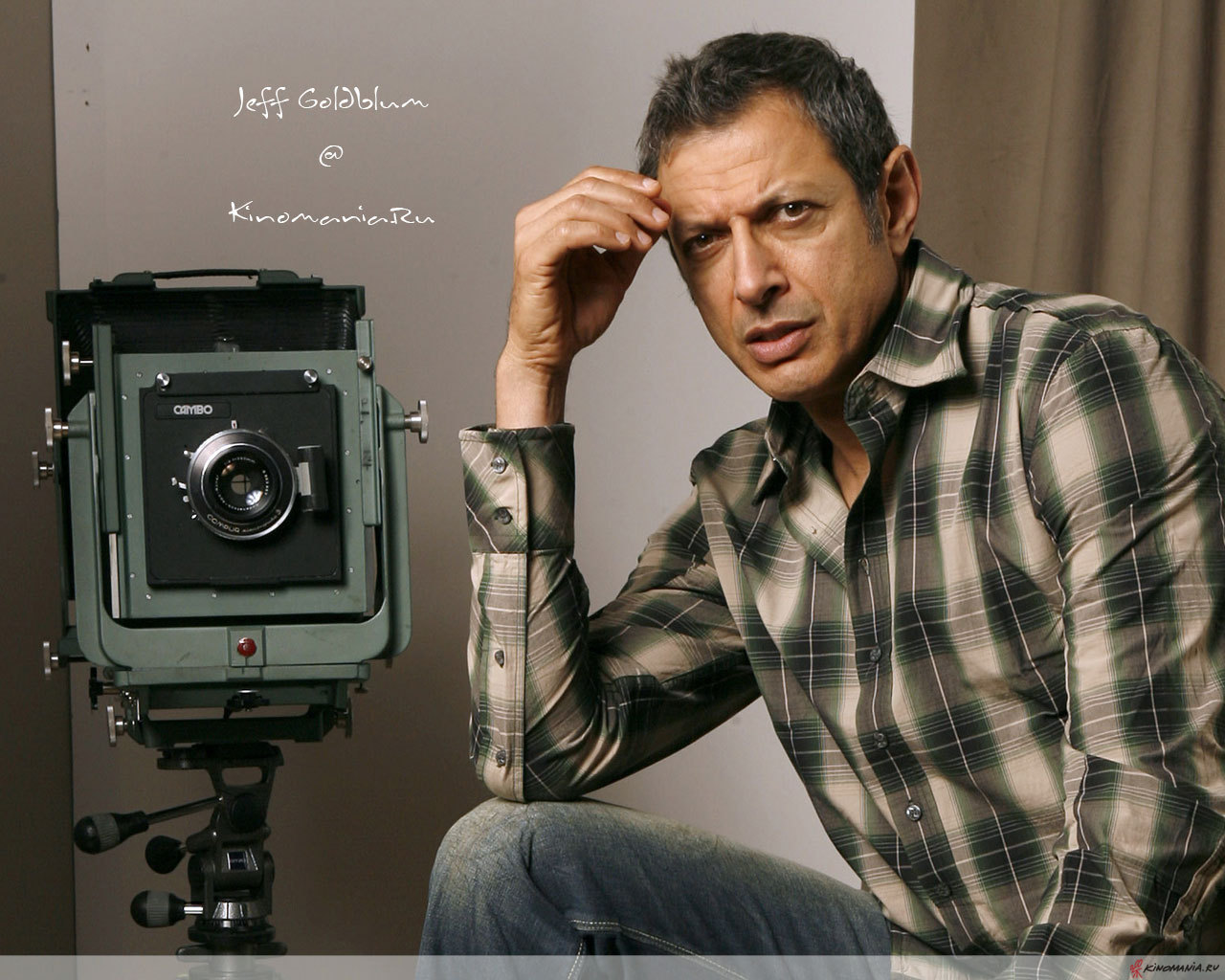 http://2.bp.blogspot.com/-rOWvlqJekLE/TzKaxcLkhrI/AAAAAAAABRM/1toaiGVgzQo/s1600/jeff-goldblum-wallpaper-3-785197.jpg