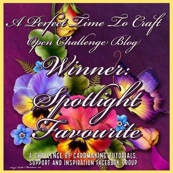 Spotlight Winner at A Perfect Time To Craft Challenge Blog