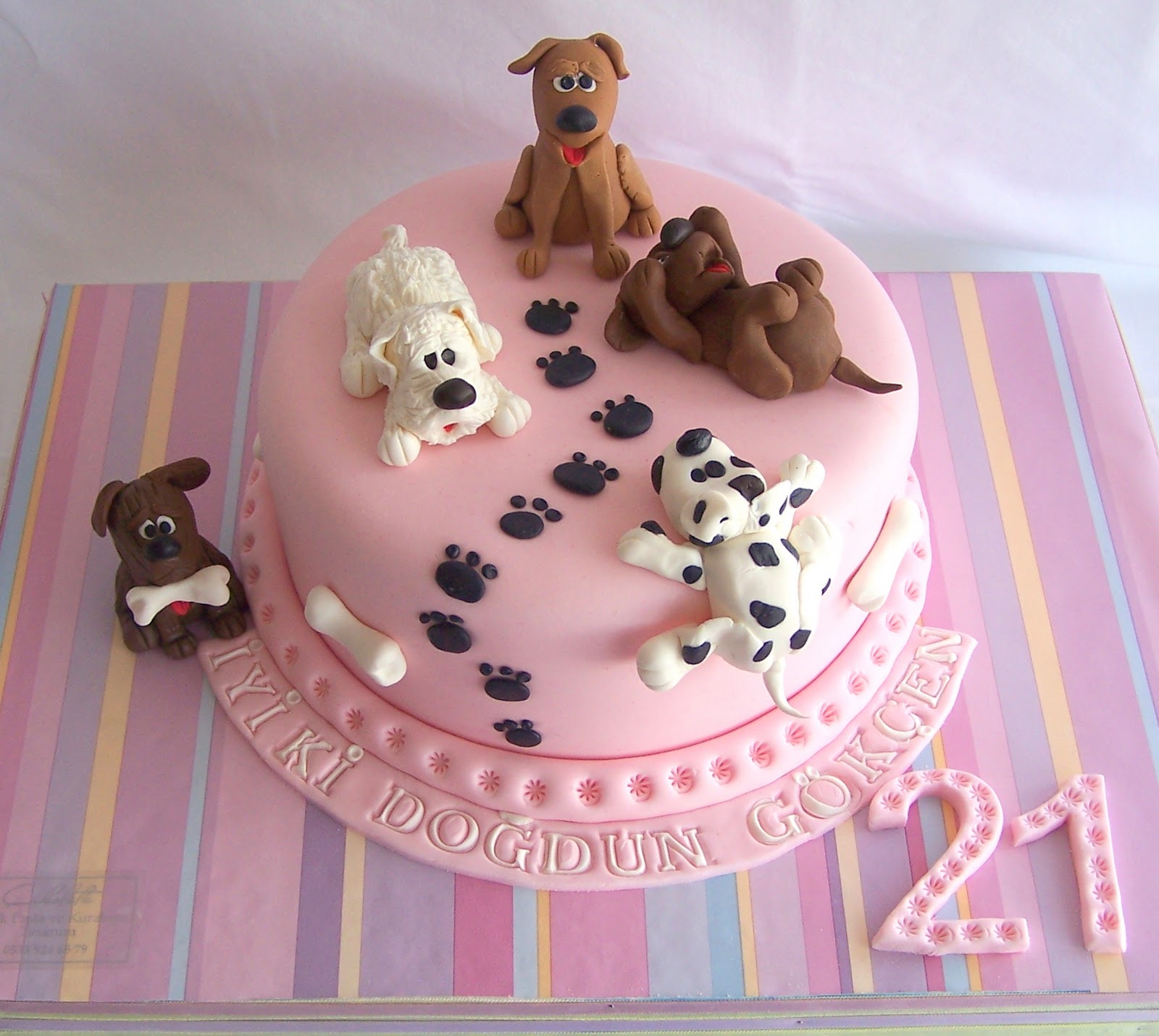 Çikolata Butik Pasta ve Kurabiye Tasarımı Köpekli Pasta ve Kurabiyeler