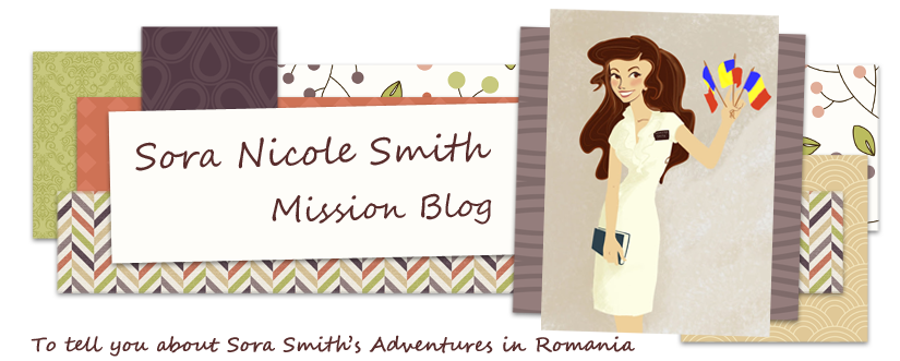 Sora Nicole Smith Mission Blog