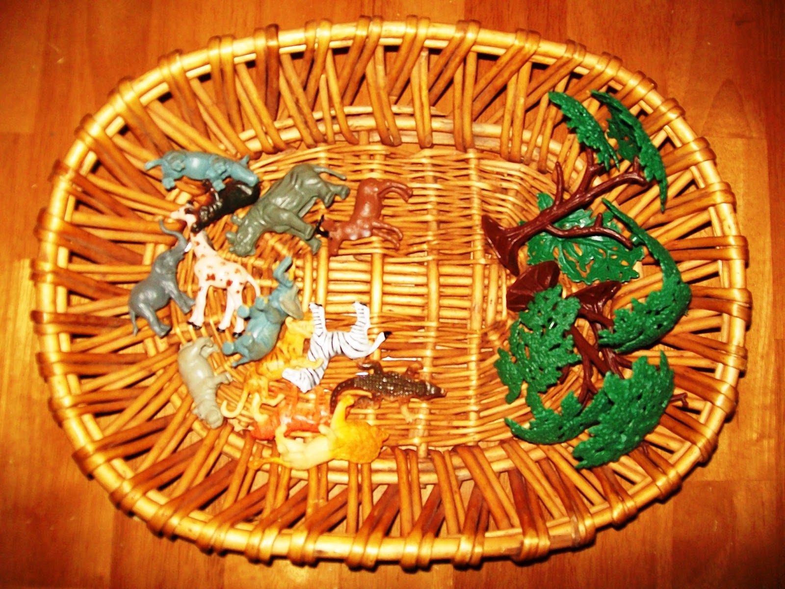 The Earth: Endangered Species & Habitats Biology Diagrams