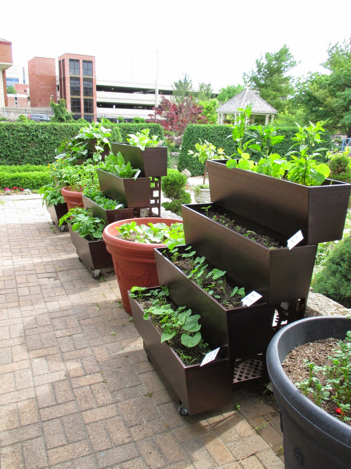 Rotary Botanical Gardens - Hort Blog: Vertical Planters