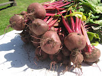 Homegrown Beets