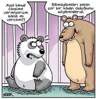 Karikatur