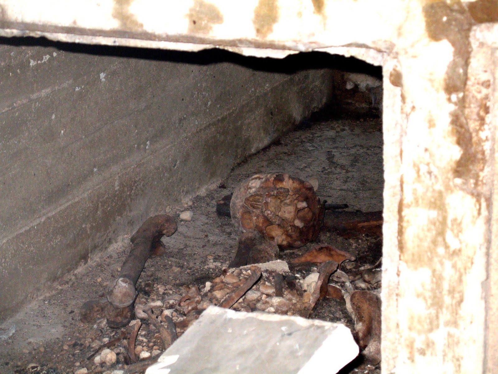 The Shockoe ExaminerBlogging the History of Richmond, Virginia August 2015