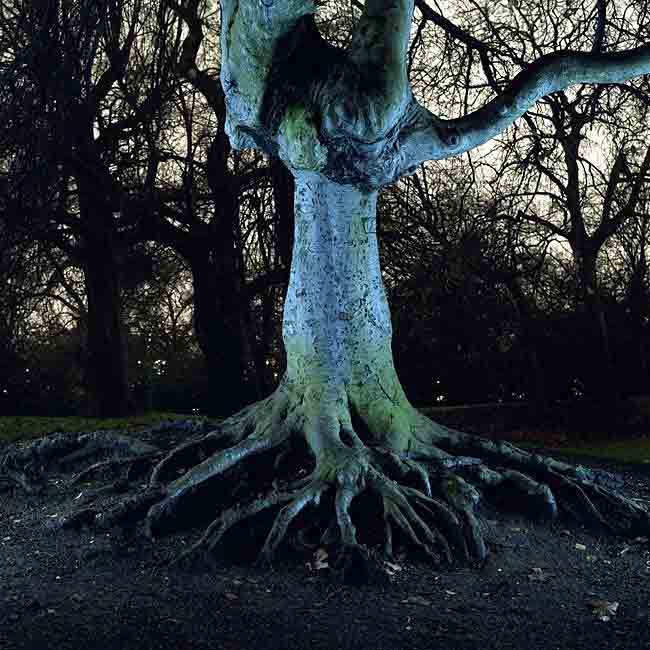 Hintergrund E Paper Login Die Glocke