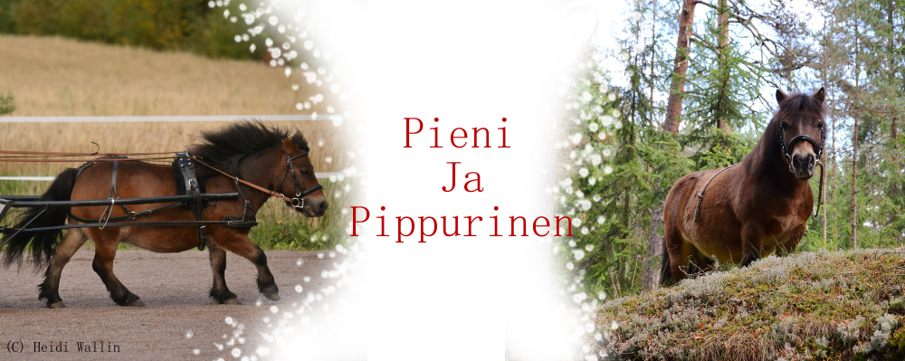 Pieni ja Pippurinen