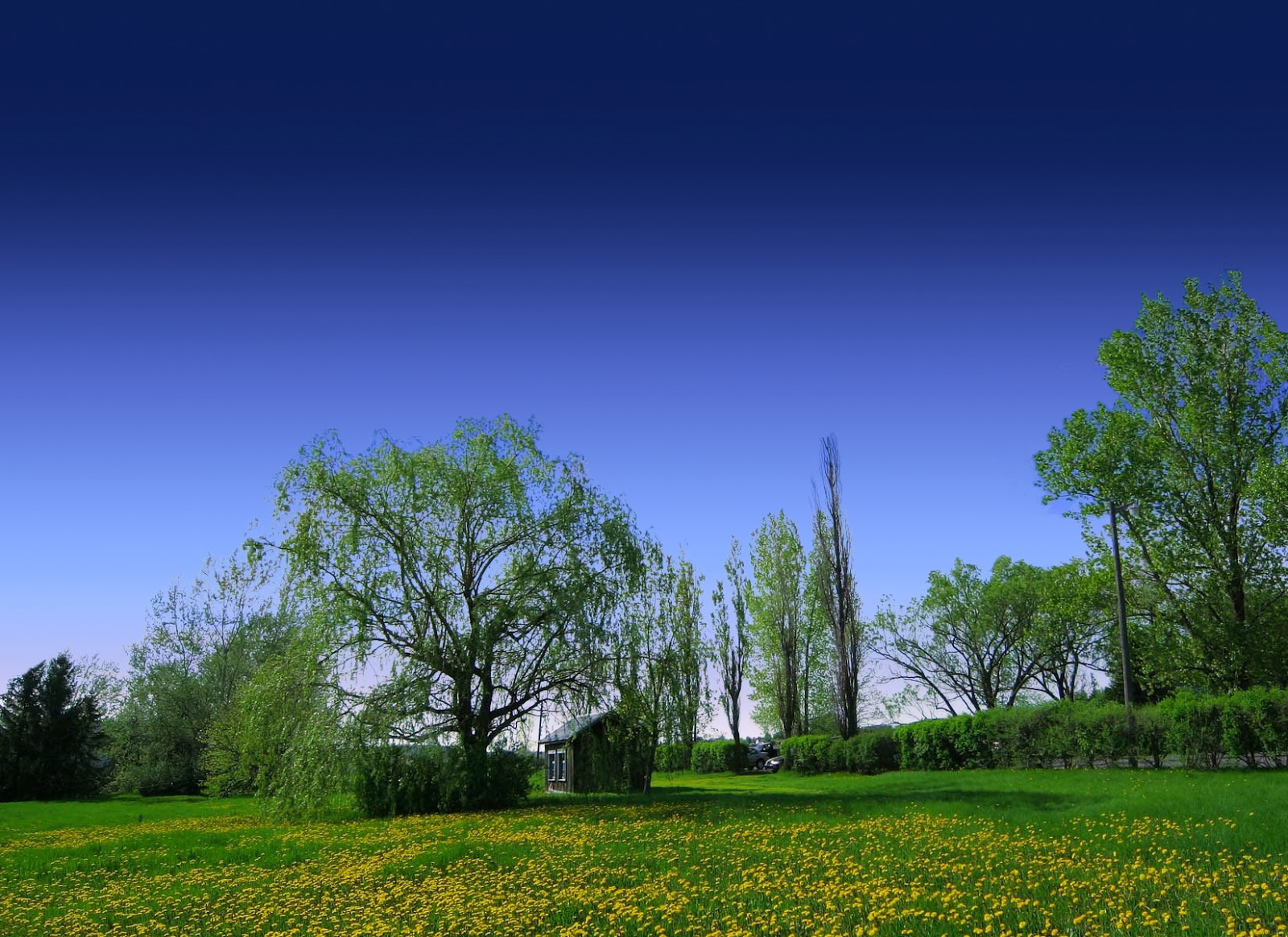 Modern All Dimension Arts Background removal in