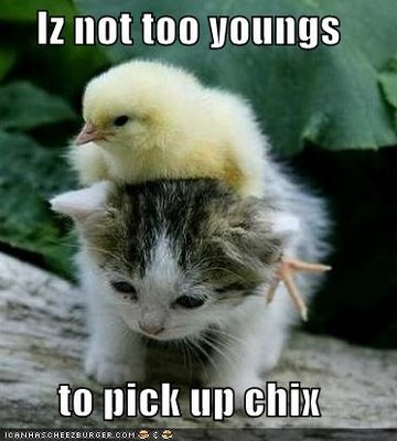[Image: funny-pictures-kitten-is-not-too-young-for-chicks.jpg]