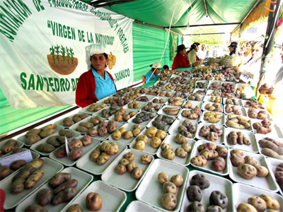 Comedores populares participarÃn en el festival de la papa nativa ...