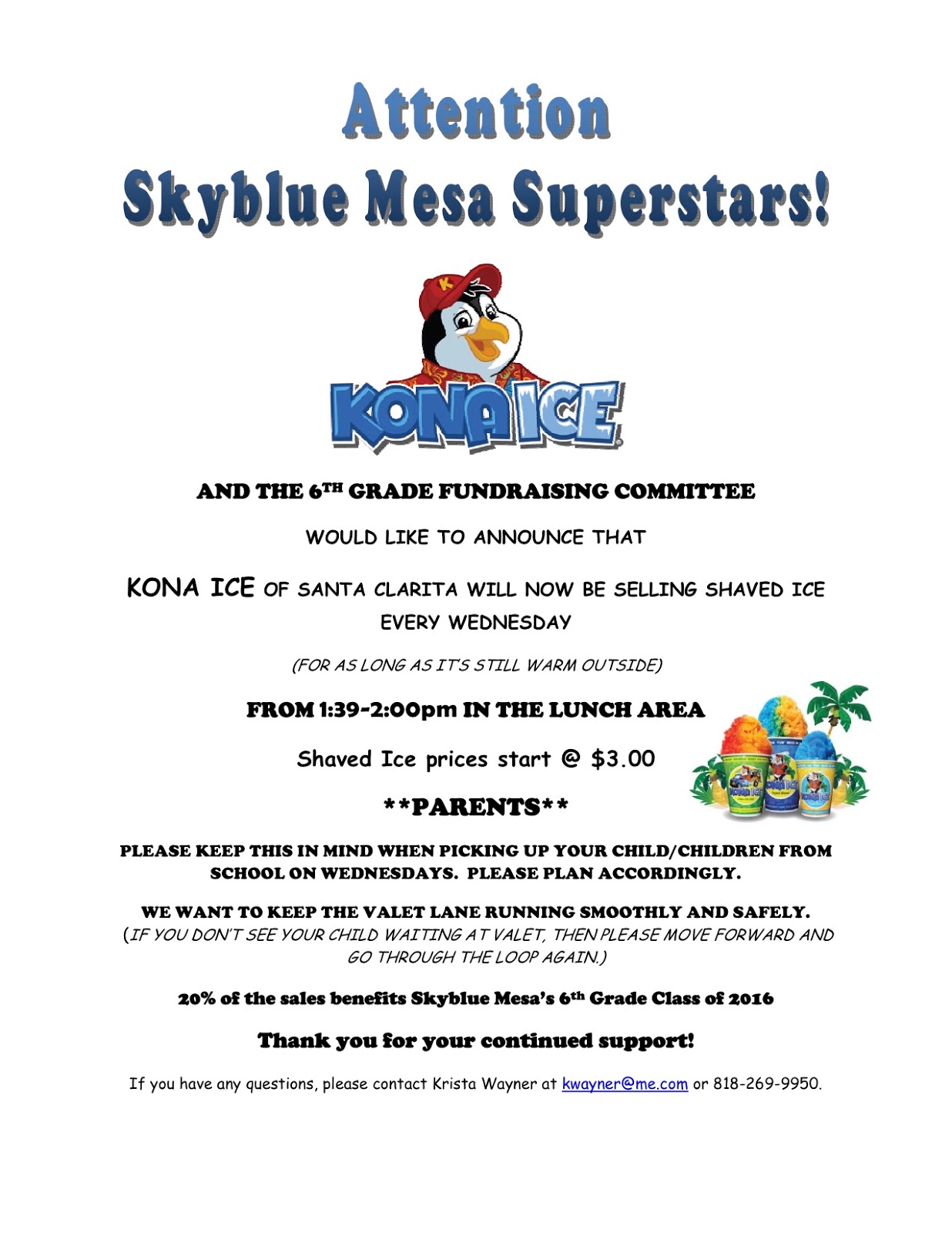 skyblue mesa pto kona ice truck kona ice flyer