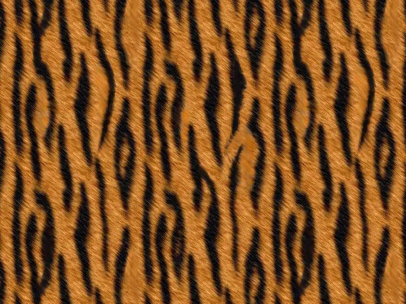 Amper Bae tiger print backgrounds