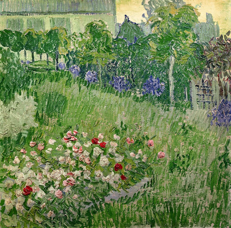 Marie Dauenheimer's Art and Anatomy Blog: Vincent Van Gogh in Arles, St